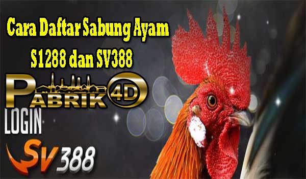 Cara Daftar Sabung Ayam S1288 dan SV388