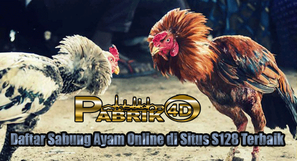 Daftar Sabung Ayam Online di Situs S128 Terbaik
