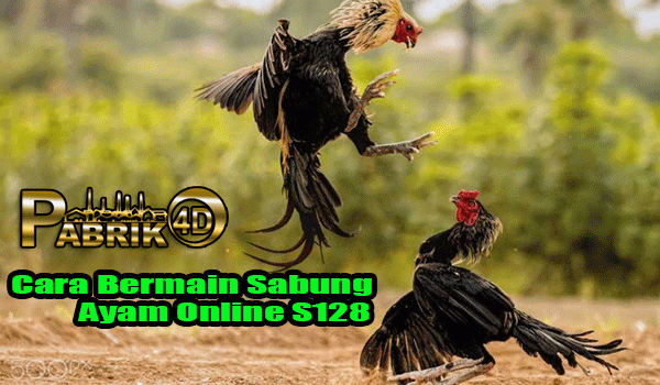Cara Bermain Sabung Ayam Online S128